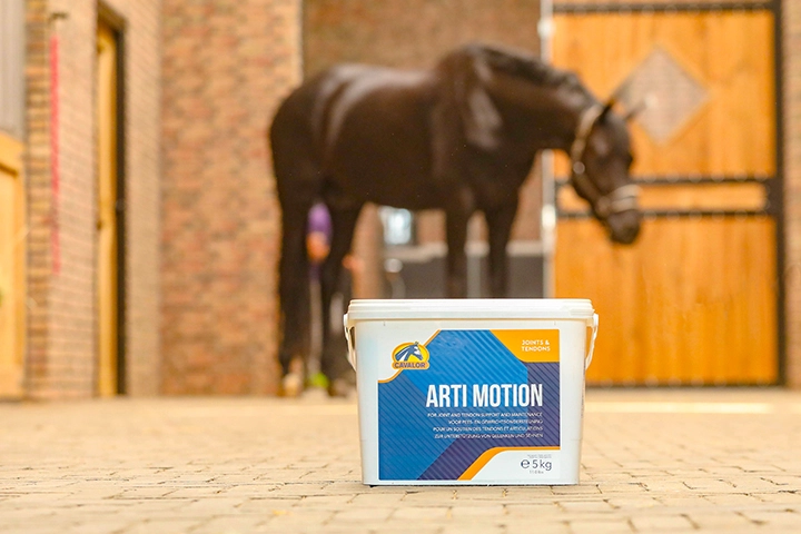 Cavalor Arti Motion : le complément essentiel pour la santé articulaire du cheval1