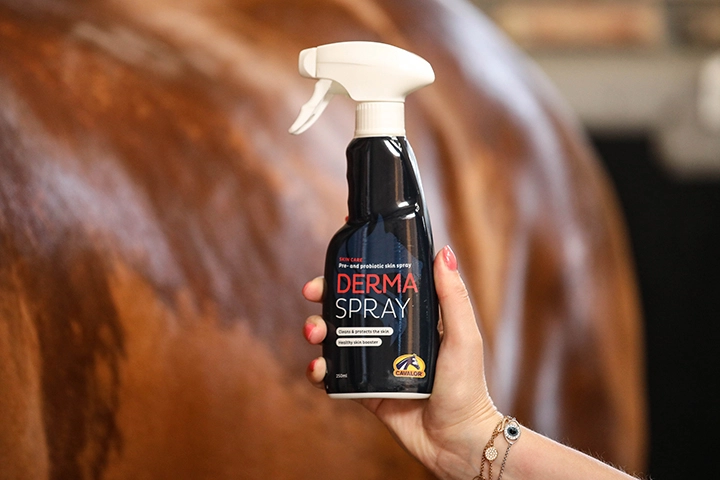derma spray