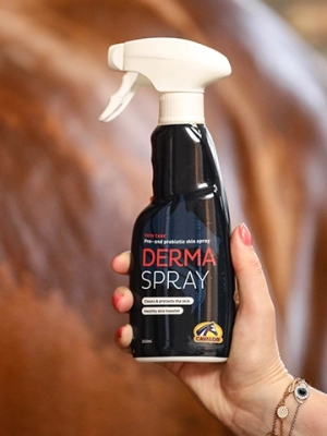 Derma-Spray_EU