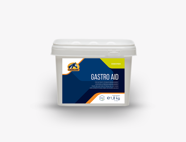 Gastro Aid Paste | Paste für ein gesundes Magenmilieu