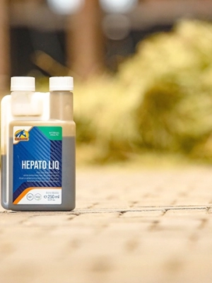 Hepato-Liq-250ml_EU