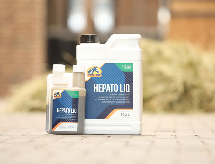 Détox foie cheval : 5 raisons de choisir la puissante cure Cavalor Hepato Liq