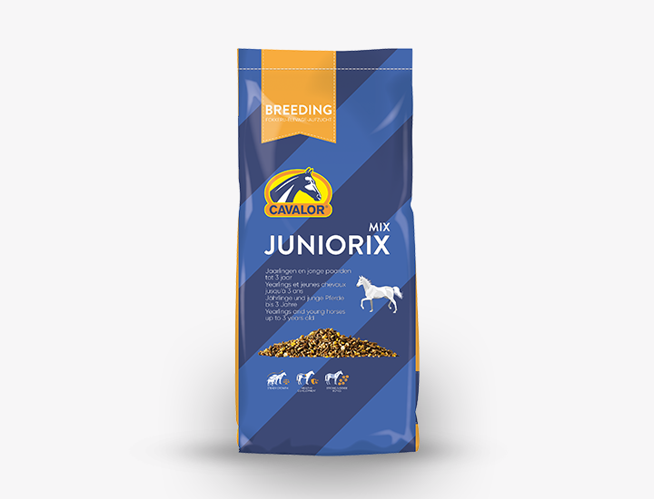 Alimentation Jeune Cheval : 10 Secrets de Croissance avec Cavalor Juniorix