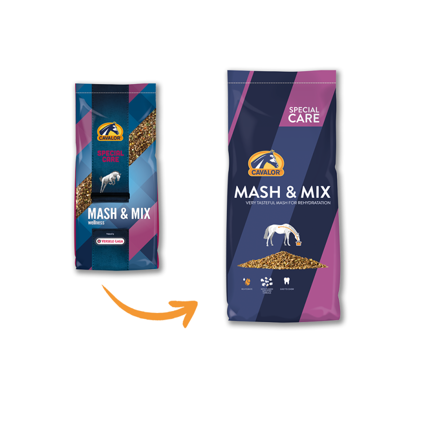 mash
