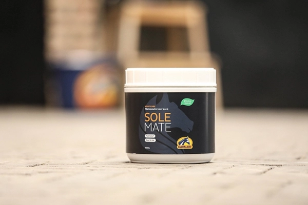 SoleMate_EU