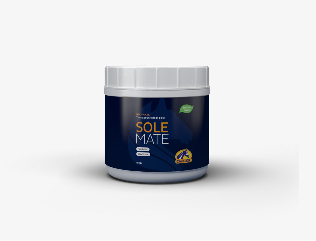 Solemate-Packshot-1-1024×782