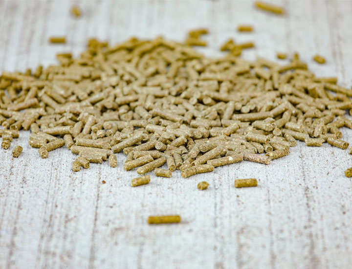 10 Astuces Essentielles pour l’Alimentation Cheval : Guide Complet pour une Nutrition Équine Parfaite