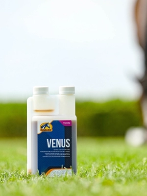 Venus-500ml_EU